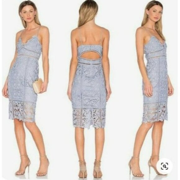 Bardot Botanical Lace Overlay knee dress‎ Size 8 100% Polyester Dusty Blue - Picture 1 of 13